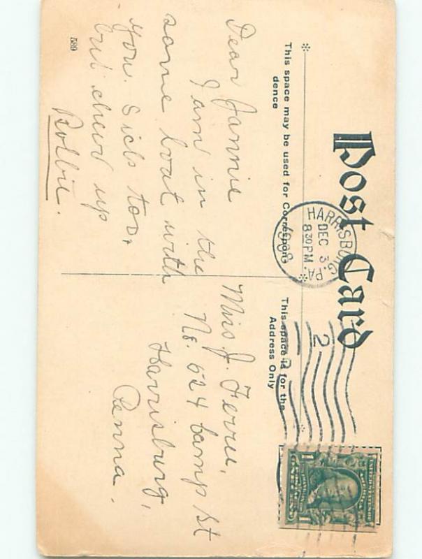 Divided-Back DOG SCENE Great Postcard AA9351