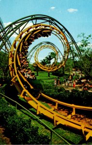 Florida Tamps Busch Gardens The Python Roller Coaster Thrill Ride