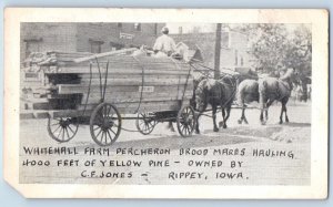 Rippey Iowa IA Postcard Whitehall Farm Percheron Wagon Horse Scene 1916 Antique