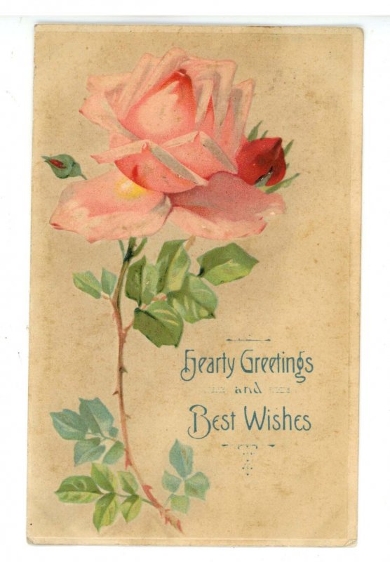 Greeting - Hearty Greetings & Best Wishes