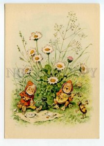 490262 East Germany GDR GNOME & Dressed BEETLE by BAUMGARTEN Vintage postcard