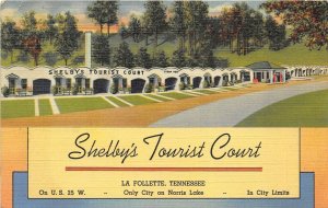 La Follette Tennessee 1950 Postcard Shelby's Tourist Court Roadside Motel