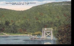 Alabama North Anniston Swimming Beach At Foot Of Cheaha Mountain