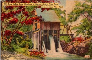 Mill Race Below Trout Hatchery, Bennett Springs, Lebanon MO Vintage Postcard Q54