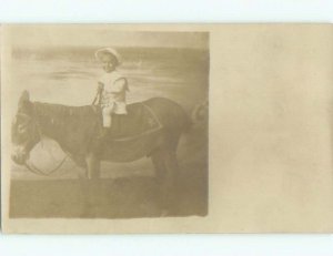 Old rppc ANIMAL SCENE Great Postcard AB1981