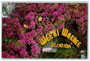 c1960 Bougainvillea Flowers Weeki Wachee Springs Florida FL Antique Postcard 