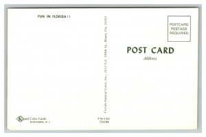 Vintage 1960's Postcard Beautiful Bikini Girl Loses Top Alligator Snaps Florida