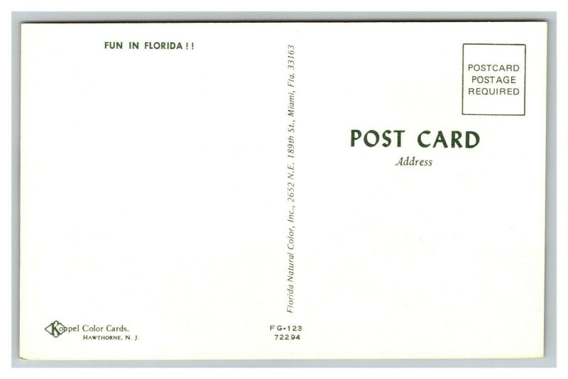 Vintage 1960's Postcard Beautiful Bikini Girl Loses Top Alligator Snaps Florida