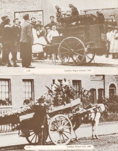 London Organ Grinder Victorian Flower Cart 2x Postcard s