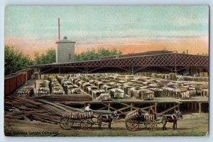 Birmingham Alabama AL Postcard Cotton Compress  c1910 Vintage Raphael Tuck Son