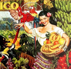 Mexico Postcard Unused Unposted Tropical Splendor Vintage Poster Reprint E59