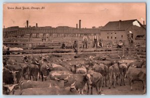 1911 Chicago Illinois IL Vintage Postcard Union Stock Yards Cow Herd Farm Field