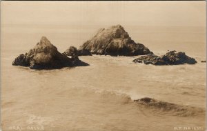 RPPC Seal Rocks P.P. no. 1230 Real Photo Postcard V10