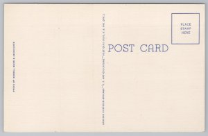 Linen~Dairy Farm~Boystown Nebraska~Trees~Bldgs~Grain Bins~Sign Out Front~Vtg PC