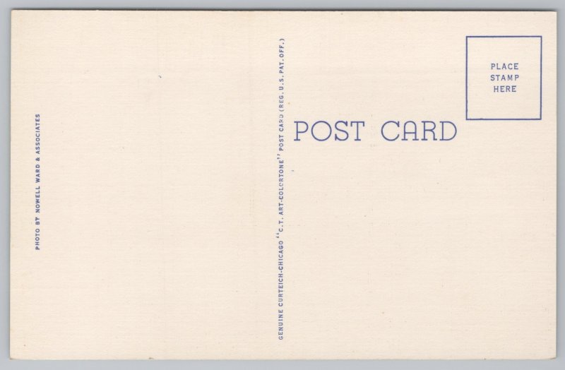 Linen~Dairy Farm~Boystown Nebraska~Trees~Bldgs~Grain Bins~Sign Out Front~Vtg PC