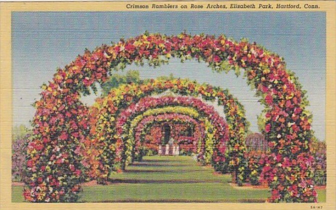 Connecticut Hartford Crimson Ramblers On Rose Arches Elizabeth Park 1951 Curt...