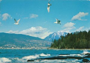 Sea Gulls over English Bay - Vancouver BC, British Columbia, Canada - pm 1976