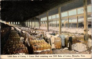 Memphis TN cotton shed workers bales c1910 vtg postcard
