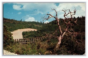 Scenic Highway 83 Approaching Cloudcroft New Mexico Postcard