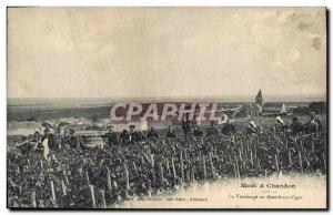 Old Postcard Folklore Wine Vintage Champagne Moet & Chandon The harvest in Le...