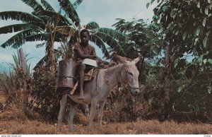 JAMAICA, 1950-1960s; Water Bay, Boy On A Donkey