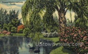 Tropical Garden - Sarasota, Florida FL  