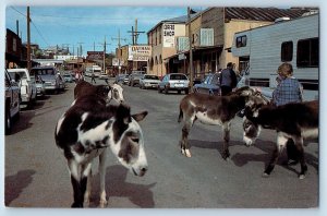 Oatman Arizona AZ Postcard Colorado River Series Route 66 Donkeys Animals  c1960