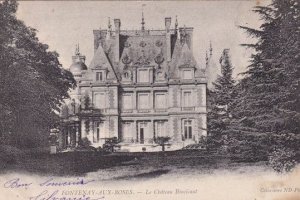 Fontenay Aux Roses Chateau Boulevard Antique French Postcard