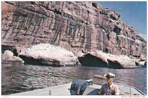 Bonaventure Island, PERCE, Quebec, Canada, 40-60´s