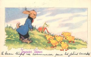 Easter greetings humanized drawn rabbit and chicken fantasy postcard Belgium