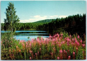 M-35621 Lake Nature Scenery Finland