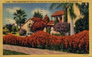 Foliage and Hedge of Flame Vine - St Petersburg, Florida FL  