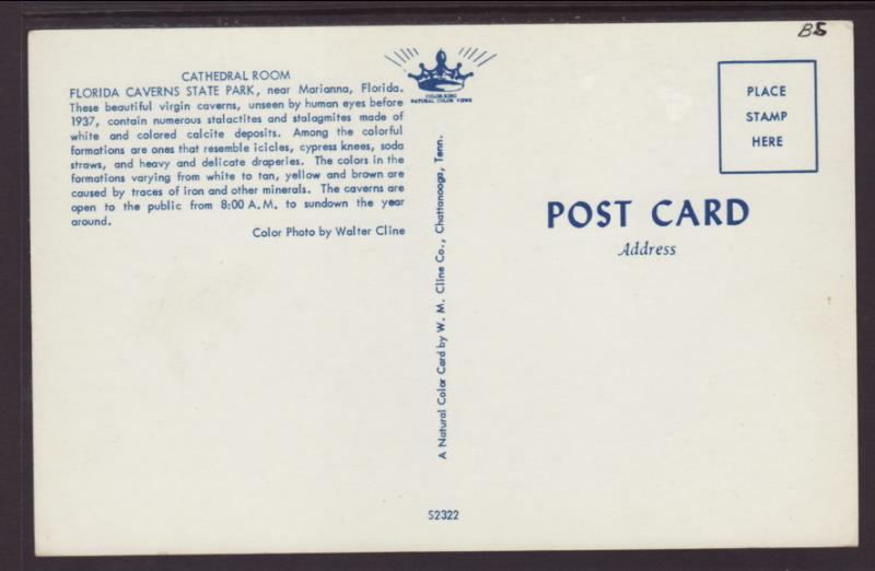 Cathedral Room,Florida Caverns State Park,Near Marianna,FL BIN