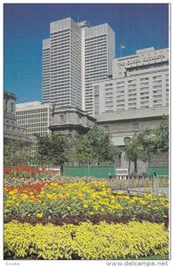 Tulips in Dominion Square , MONTREAL , Quebec , Canada , 50-60s