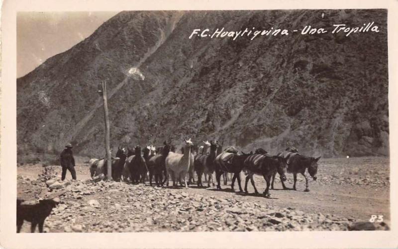 Huaytiquina Argentina Horses Llama Real Photo Antique Postcard J49763