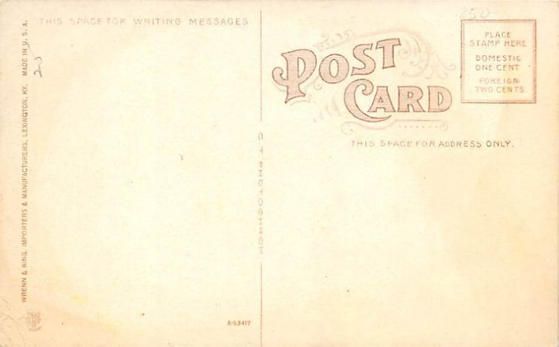 High Bridge Kentucky Postcard