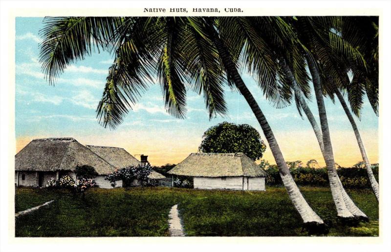 13781  Cuba  Havana    Native Huts