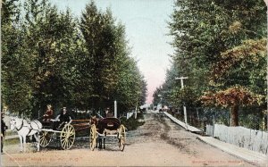 Pointe Au Pic Quebec QC Avenue Horse & Carriage c1907 Postcard G8