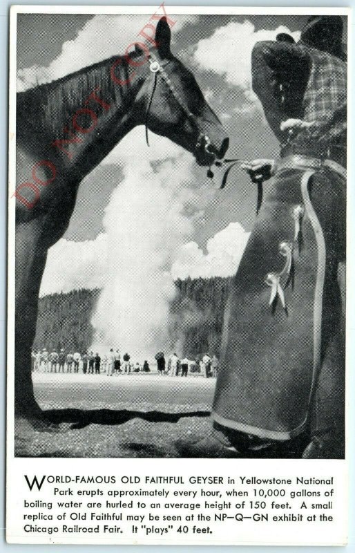 c1950s Northern Pacific Railway PC Yellowstone Park Line Old Faithful Geyser A22