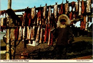 CONTINENTAL SIZE POSTCARD CHAR AND SALMON FOOD FOR A CANADIAN ARCTIC VILLAGE 70s