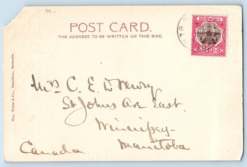 Bouganvillia Bermuda Postcard Hamilton Hotel Building 1907 Posted Antique