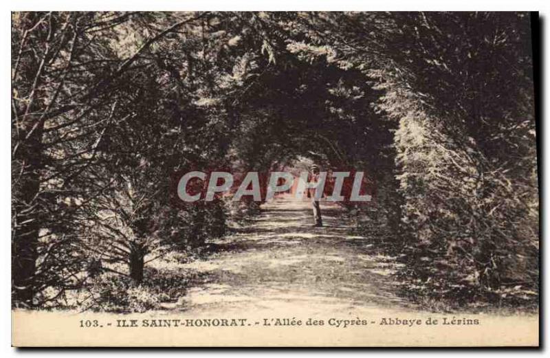 Old Postcard Ile St Honorat Allee des Cypres Lerins Abbey