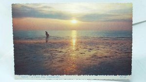 Sunset at Palm Bay Cliftonville Kent Vintage Postcard