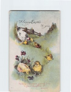 Postcard Easter Greeting Card with Message and Easter Birds Flowers Art Print