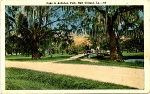 LA - New Orleans. Audubon Park Oaks