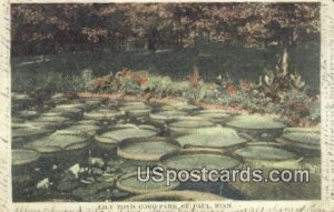 Lily Pond, Como Park in St. Paul, Minnesota