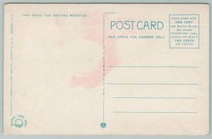 Florida Royal Arch Oak~Waterfront Drive~1920s Postcard