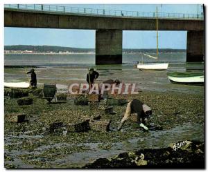 Old Postcard The viaduct & # 39Oleron Ostréiculture Fishing