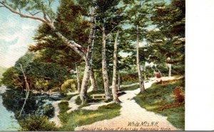 New Hampshire White Mountains Franconia Notch Around the Shore Of Echo Lake