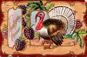 Thanksgiving Greetings With Turkey 1910